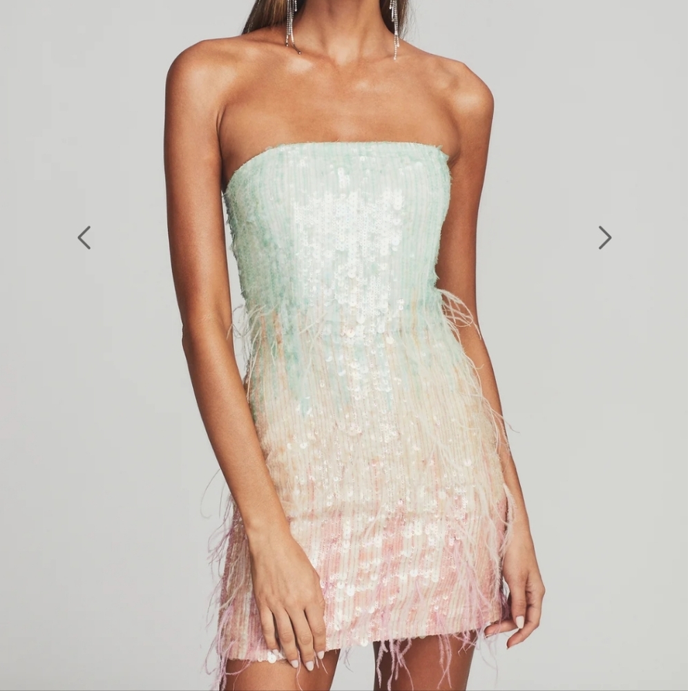 NWT Retrofete Anastasia Mini Dress in Feathers
